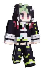Skin preview