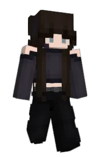 Front of L1306's skin