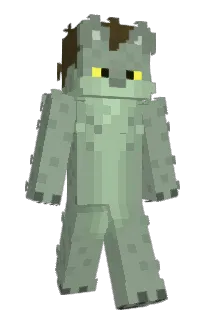 Front of Minecraft skin