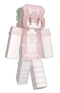 Front of CZJK's skin