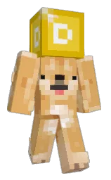 Classic Minecraft skin