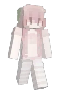 Front of chio3o's skin