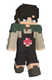 Skin preview