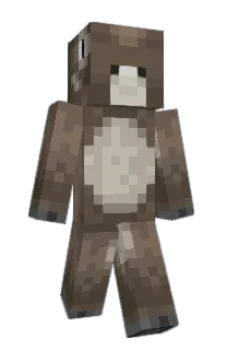 Front of Minecraft skin