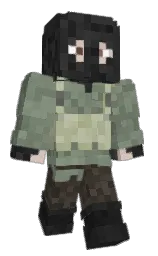 Minecraft skin — Classic model