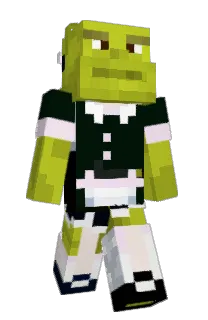 Front of wllows's skin