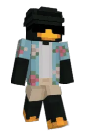 Skin preview