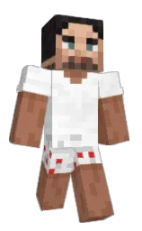 white and cape palliser Minecraft skin — Classic model