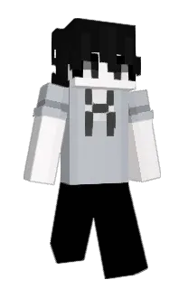 Front of sixtuh's skin