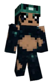 Skin preview