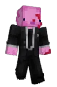 IDoozler