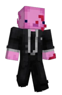 IDoozler's Minecraft skin