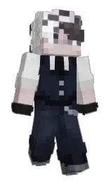 Minecraft skin — Classic model