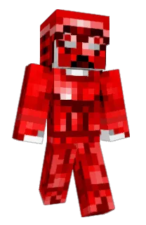 Front of KNSAL's skin