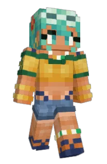 Front of Invusink's skin