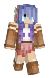 Skin preview