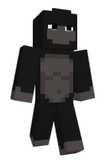6644 Minecraft avatar full body