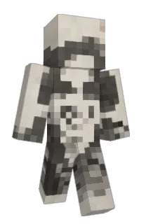 Front of GrauerSpace's skin