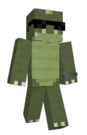 Skin preview