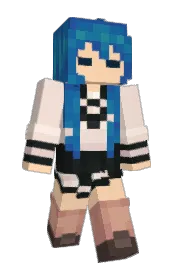 Skin preview