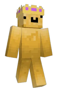 Front of Roasted_Chicken's skin