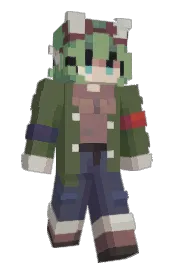 Skin preview