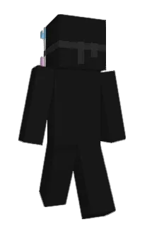 Front of ineeb's skin