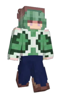 Front of elephant_1's skin