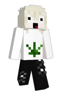 666forget Minecraft avatar full body