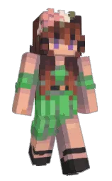 Slim Minecraft skin