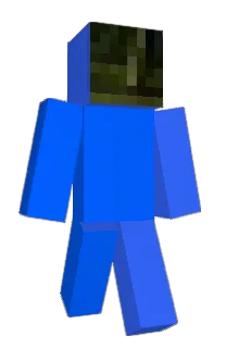 Front of CH5's skin