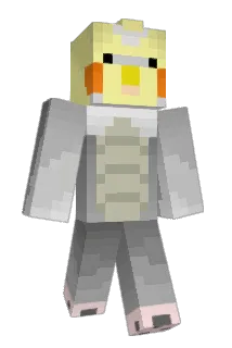 667Sam Minecraft avatar full body
