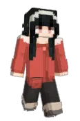 zidisti