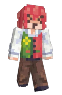 Envizix's Minecraft skin