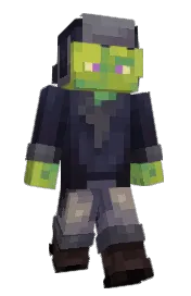 Skin preview
