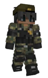 Custom render preview