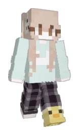 Minecraft skin — Slim model