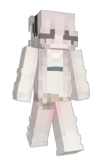 Front of whycook's skin