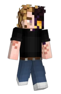 Front of dvdplayr's skin