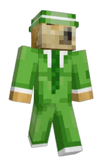 Front of Bingleton's skin