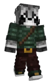 Skin preview