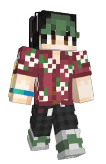Front of kinokich's skin