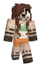 Skin preview