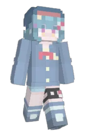 Skin preview