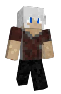 Front of sinsp's skin