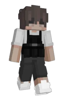 66ss Minecraft avatar full body