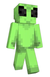 Front of Tiqgo's skin