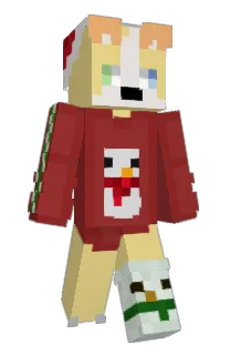 Front of Minecraft skin