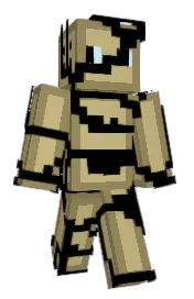 Skin preview