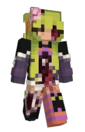 Skin preview